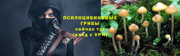 COCAINE Новодвинск