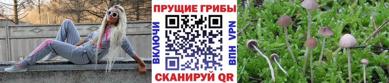 Галлюциногенные грибы ЛСД Опочка